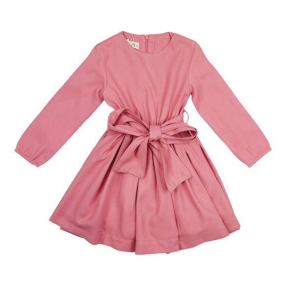 Blush Fit and Flare dress - runs small size up